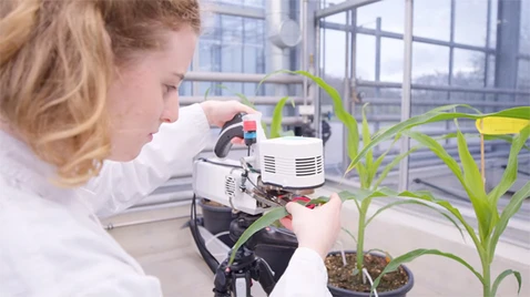 BayKlimaFit 2 - Projektverbund Starke Pflanzen im Klimawandel