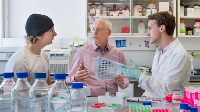  Prof. Küster and two scientists from the chair in the lab 