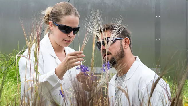 two researcher analyze experimental plants in the climate chamber 