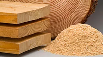 Forschungsbereich Holzforschung und Biotechnologie, Holz und Holzspäne