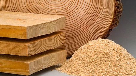 Forschungsbereich Holzforschung und Biotechnologie, Holz und Holzspäne