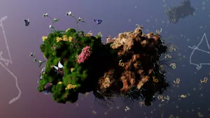 Was die Pflanze zum Wachsen braucht - Struktur eines Transportproteins in Pflanzen aufgeklärt