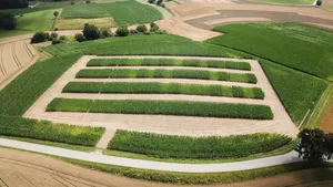 Die Technische Universität München ist Projektpartner in einem Forschungsverbund, der die Nutzungspotenziale von Pflanzenkohle und Terra Preta in der Bayerischen Landwirtschaft untersucht und einen Beitrag zu Klimaschutz und zur Klimaanpassung leisten soll.