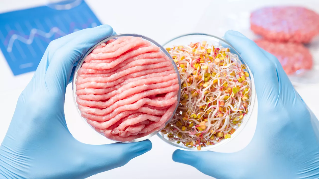 Research on meat alternatives in the Lab