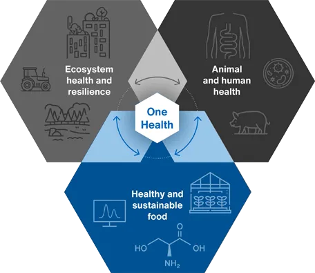 One Health - Healthy and sustainable food