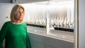 Prof. Dr. Chris-Carolin Schön, Leiterin des Lehrstuhls für Pflanzenzüchtung, in der Klimakammer mit Pflanzensetzlingen