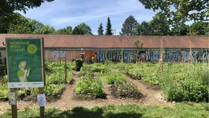 A small field in the city