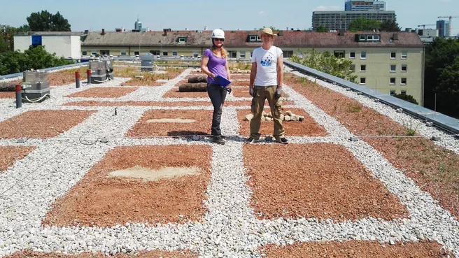 Claudia Seilwinder und Sebastian Meyer vom TUM-Lehrstuhl für Terrestrische Ökologie bei der Planung der Dachbegrünung 