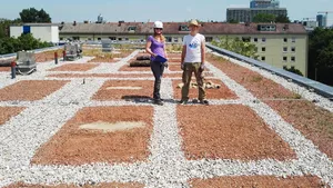 Claudia Seilwinder und Sebastian Meyer vom TUM-Lehrstuhl für Terrestrische Ökologie bei der Planung der Dachbegrünung 