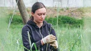 Studentin hilft im Hopfengarten