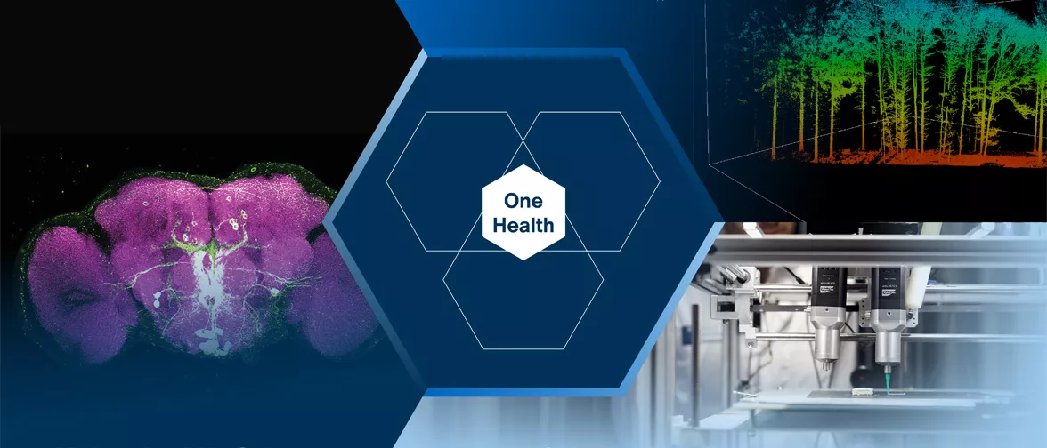 Forschungsdepartments TUM School of Life Sciences