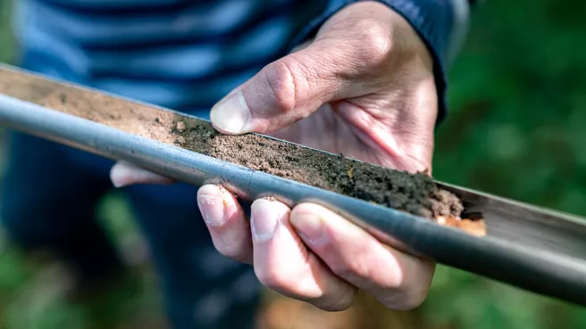 Cross section of a soil sample