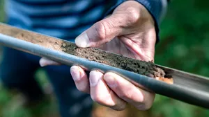 Cross section of a soil sample