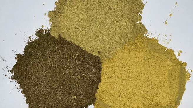 Tribo-electrostatic Belt Separator with Rapeseed
