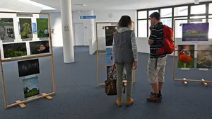 Biodiversitätswoche Weihenstephan Fotowettbewerb