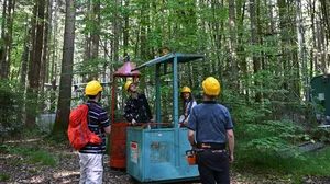 Biodiversitätswoche Weihenstephan Waldexkursion