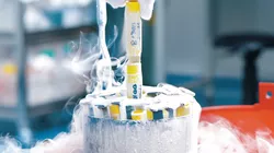 What proteins reveal about a tumor