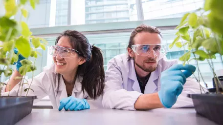 Proteins produced by novel reverse food engineering and additive manufacturing