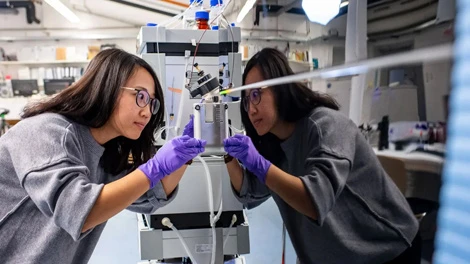 KI in den Lebenswissenschaften