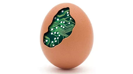 Eggshell with microchip