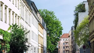 Mittels einer Smartphone-App Daten über den Baumbestand der Umgebung sammeln.