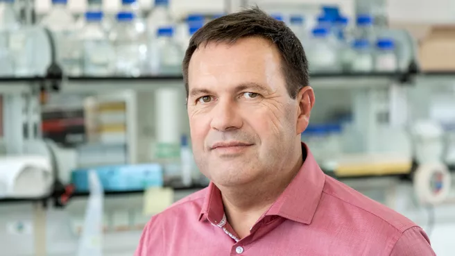 Prof. Dr. Claus Schwechheimer Leiter des Lehrstuhls Systembiologie der Pflanzen