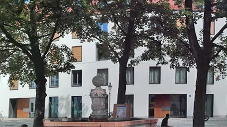 Trees in an urban environment
