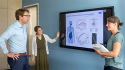 The importance of the microbiome in the large intestine