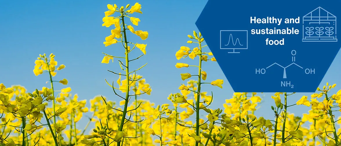 One Health - Sustainable food in the focus of research and teaching