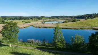 Blick auf die Osterseen