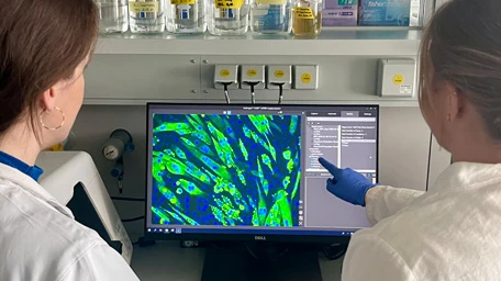 Researchers watch cell culture and tissue engineering on screen.