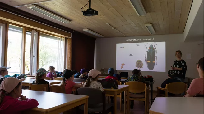 Prof. Sara Diana Leonhardt beim Schüler-Vortrag über Insekten