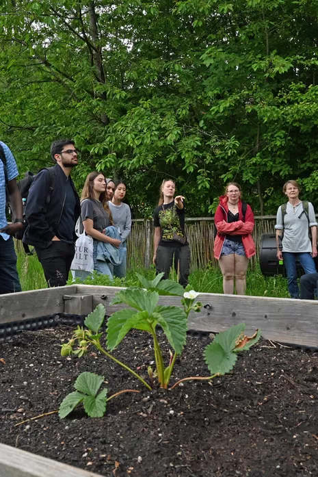 Participants of the Plant-a-Seed workshop at a bed.