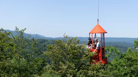 Waldlabor: Forschende über den Baumkronen.