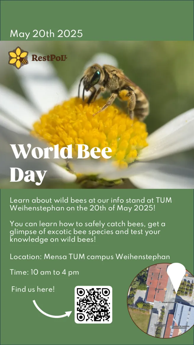 World Bee Day 2025
