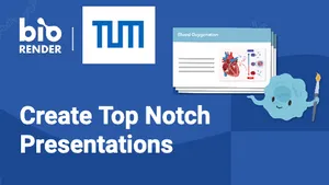 Designing presentations with biorender 