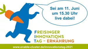 Flyer des Innovationstag Ernährung