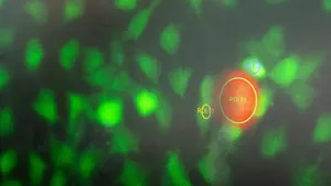 TUM researchers have received numerous ERC grants.