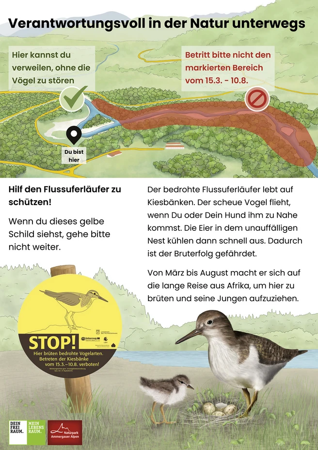 Schild zum Vogelschutz (Strandläufer)