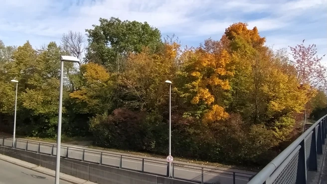 Eggarten in Munich, autumn view