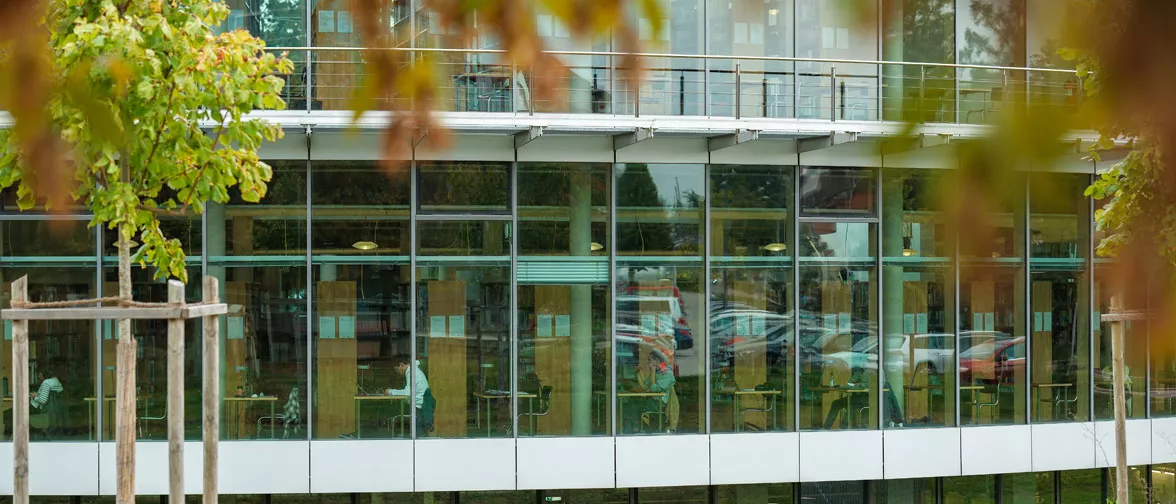 Studentin in der Universitätsbibliothek Weihenstephan