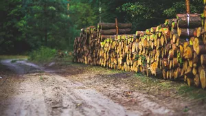 Harvested Wood 