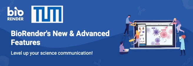 Exploring New and Advanced Features in BioRender