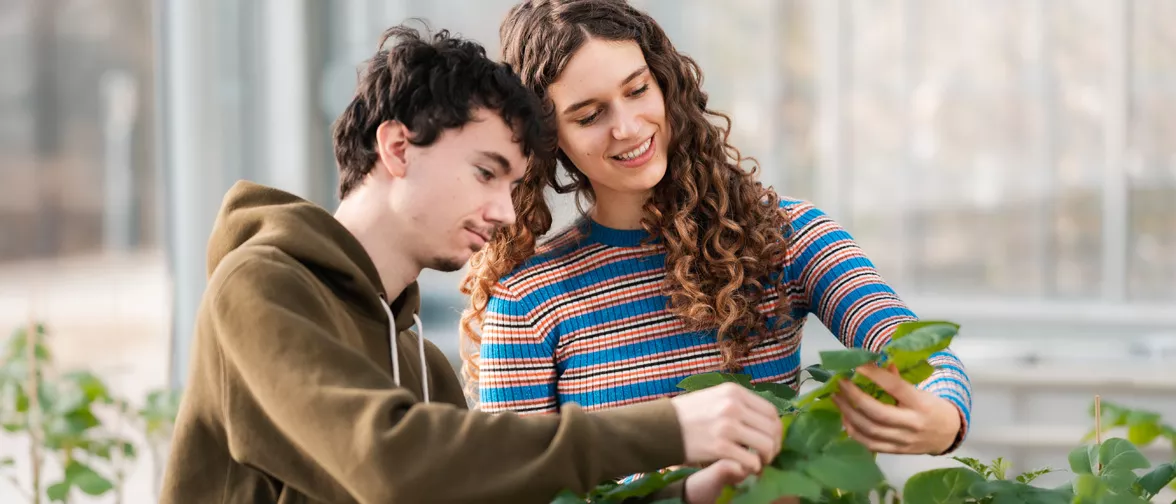Agricultural studies 