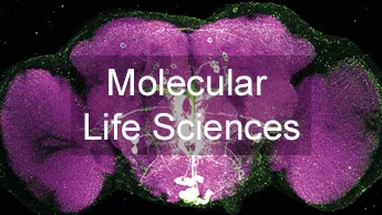 Professuren des Departments Molecular Life Sciences