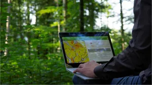 KI-Leuchtturm-Projekt - „FutureForest“ zum klimaangepassten Waldumbau 