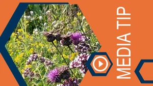 Sat1-Sendung über Artenvielfalt 