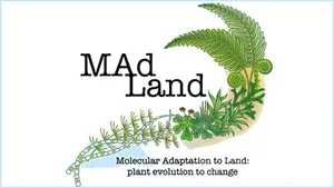 MAdLand logo: