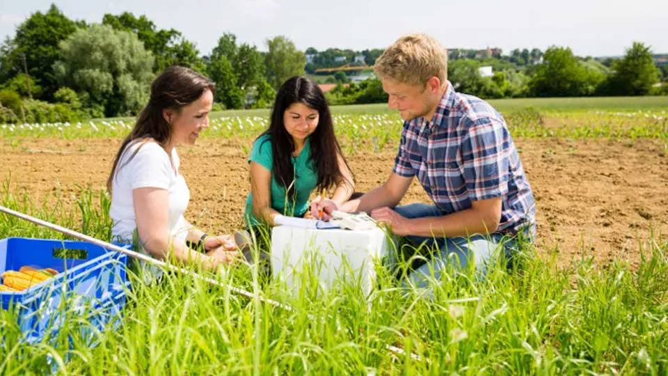 Agricultural students during a measurement in the experimental field