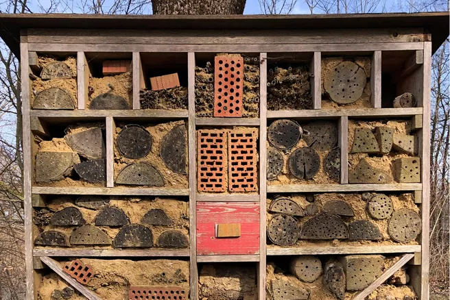 Bienenhotel des Green Office 